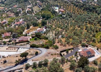 Terreno agricolo Strada Ronchi Brighei, Imperia - foto 9