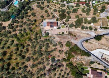 Terreno agricolo Strada Ronchi Brighei, Imperia - foto 10