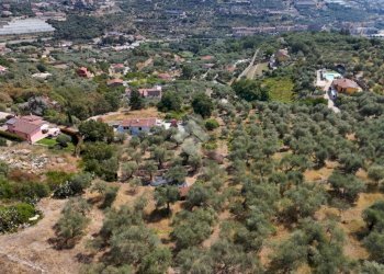 Terreno agricolo Strada Ronchi Brighei, Imperia - foto 11