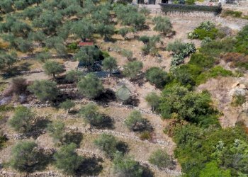 Terreno agricolo Strada Ronchi Brighei, Imperia - foto 12