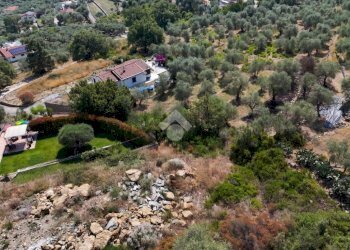 Terreno agricolo Strada Ronchi Brighei, Imperia - foto 14