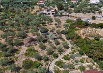 Terreno agricolo Strada Ronchi Brighei, Imperia - foto 15