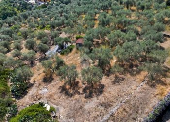 Terreno agricolo Strada Ronchi Brighei, Imperia - foto 16