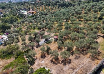 Terreno agricolo Strada Ronchi Brighei, Imperia - foto 21
