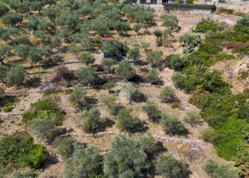 Terreno agricolo Strada Ronchi Brighei, Imperia - foto 29
