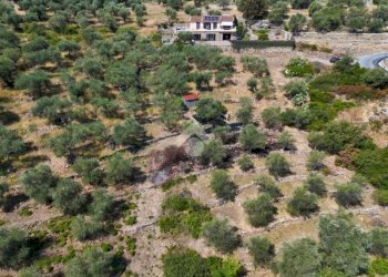 Terreno agricolo Strada Ronchi Brighei, Imperia - foto 32