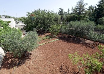 Giardino - Rustic Contrada Gorgofreddo
 
132, Monopoli - photo 14