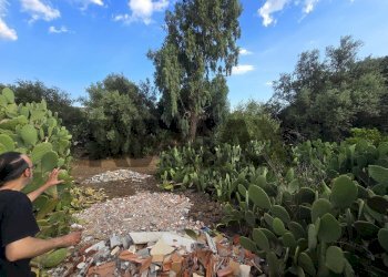 Giardino - Terreno agricolo Contrada Pracchio Seccagno
sn, Belpasso - foto 8