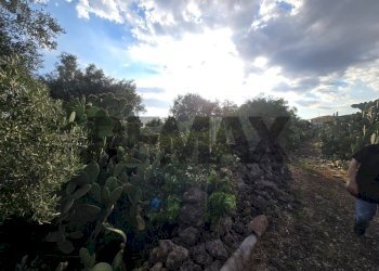 Giardino - Terreno agricolo Contrada Pracchio Seccagno
sn, Belpasso - foto 10