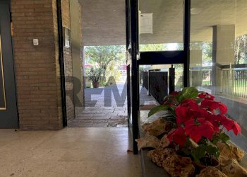 Terrazza - Three-room apartment Viale Egeo
137, Roma - photo 2