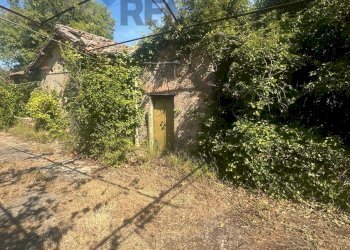 Giardino - Villa VIA GROTTE DI QUATTRO MIGLIA
 
13, Velletri - photo 8