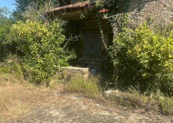 Giardino - Villa VIA GROTTE DI QUATTRO MIGLIA
 
13, Velletri - photo 12