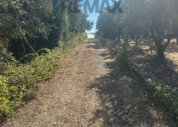 Non correlato - Villa VIA GROTTE DI QUATTRO MIGLIA
 
13, Velletri - photo 13