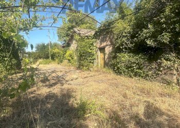 Giardino - Villa VIA GROTTE DI QUATTRO MIGLIA
 
13, Velletri - photo 17