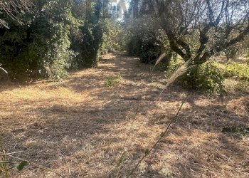 Giardino - Villa VIA GROTTE DI QUATTRO MIGLIA
 
13, Velletri - photo 24