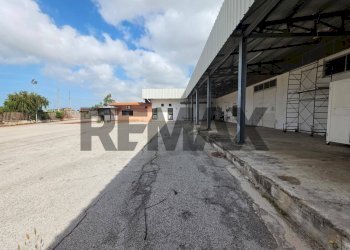 Edificio all\'aperto - Capannone strada migliara
49, Sabaudia - foto 2