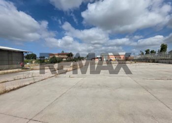Terrazza - Capannone strada migliara
49, Sabaudia - foto 4