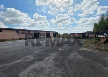 Casa all\'aperto - Capannone strada migliara
49, Sabaudia - foto 6