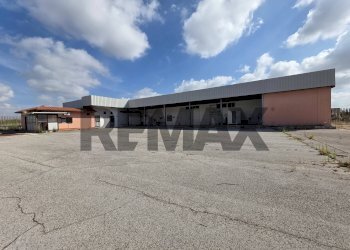 Casa all\'aperto - Capannone strada migliara
49, Sabaudia - foto 9