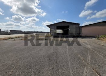 Casa all\'aperto - Capannone strada migliara
49, Sabaudia - foto 10
