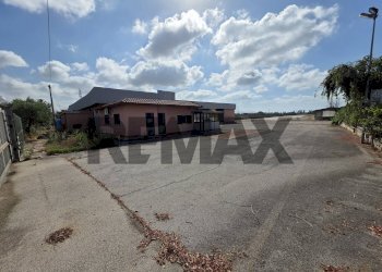 Casa all\'aperto - Capannone strada migliara
49, Sabaudia - foto 11