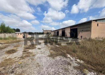 Casa all\'aperto - Capannone strada migliara
49, Sabaudia - foto 12