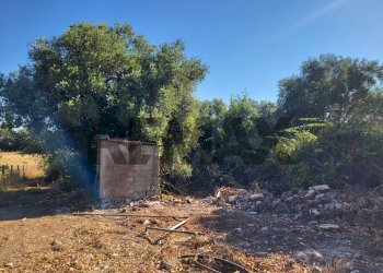 Giardino - Trilocale Via degli Abruzzi
 
57, Anzio - foto 5
