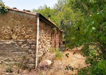 Giardino - Villa via Marconi, Castiglione di Sicilia - foto 10