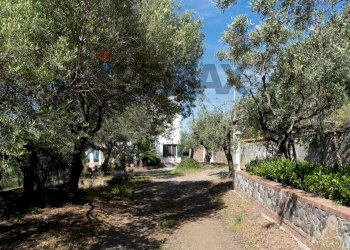 Giardino - Villa via manica
 
66, Milazzo - photo 13