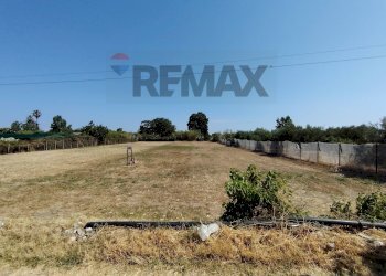 Giardino - Agricultural land via san marco
207, Milazzo - photo 6