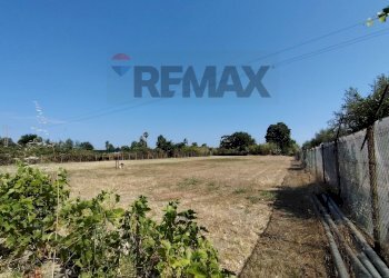 Giardino - Agricultural land via san marco
207, Milazzo - photo 11