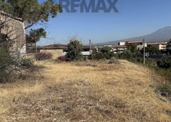 Giardino - Terreno edificabile Via Nino Martoglio
 
snc, Motta Sant'Anastasia - foto 30