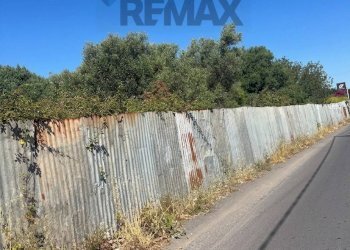 Non correlato - Terreno edificabile Via Nino Martoglio
 
snc, Motta Sant'Anastasia - foto 33