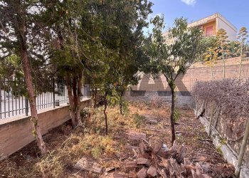 Giardino - Casa indipendente Via Hegel
 
8, Augusta - foto 8