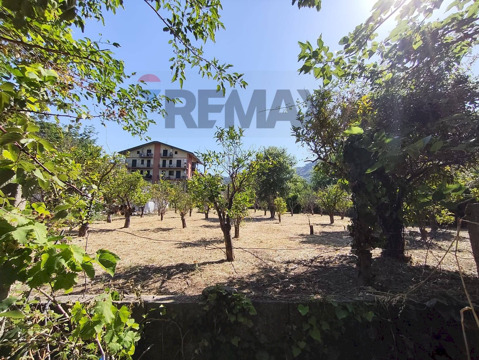 Giardino - Building land Contrada Palmara
Snc, Gaggi - photo 3