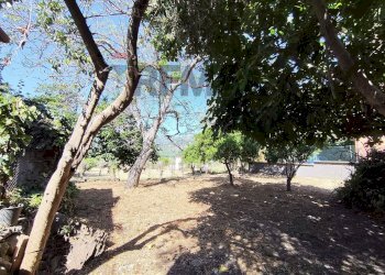 Giardino - Building land Contrada Palmara
Snc, Gaggi - photo 2