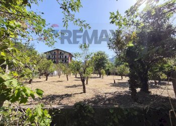 Giardino - Building land Contrada Palmara
Snc, Gaggi - photo 3