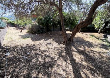 Giardino - Building land Contrada Palmara
Snc, Gaggi - photo 5