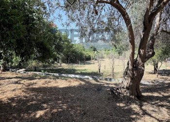Giardino - Building land Contrada Palmara
Snc, Gaggi - photo 6