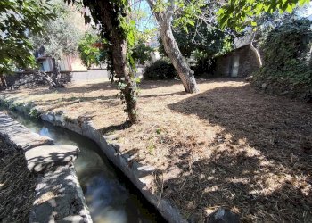 Giardino - Building land Contrada Palmara
Snc, Gaggi - photo 7