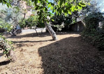 Giardino - Building land Contrada Palmara
Snc, Gaggi - photo 8