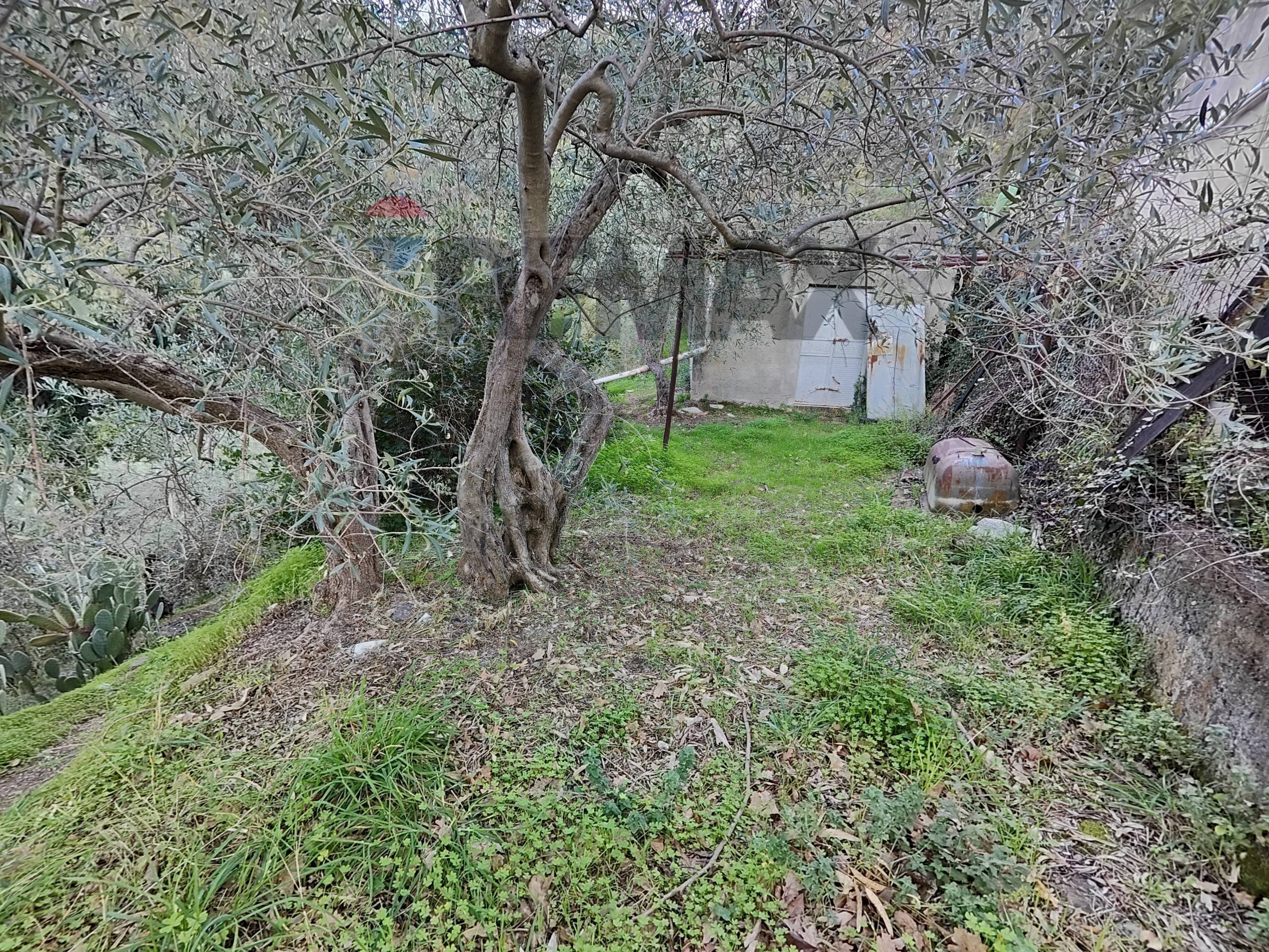 Giardino - Terreno agricolo Via femminamorta
 
snc, Barcellona Pozzo di Gotto - foto 1