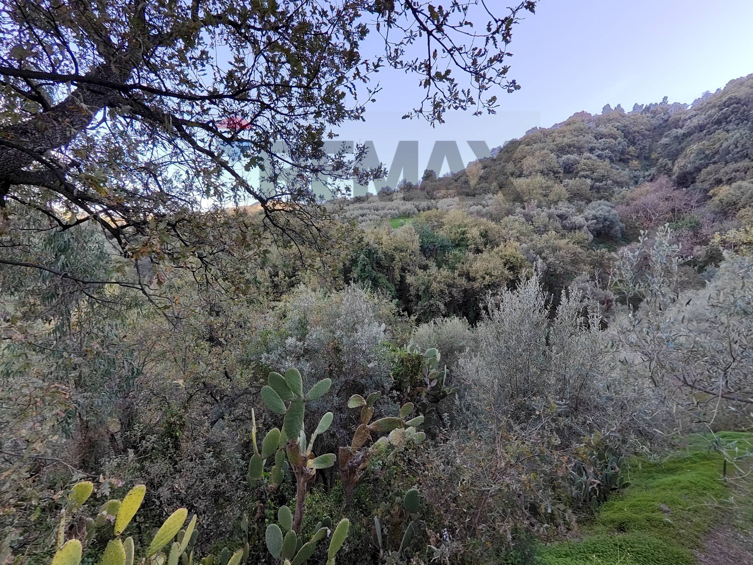 Vista delle montagne - Terreno agricolo Via femminamorta
 
snc, Barcellona Pozzo di Gotto - foto 3