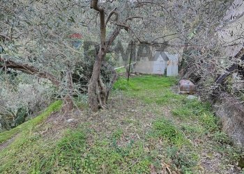 Giardino - Terreno agricolo Via femminamorta
 
snc, Barcellona Pozzo di Gotto - foto 1