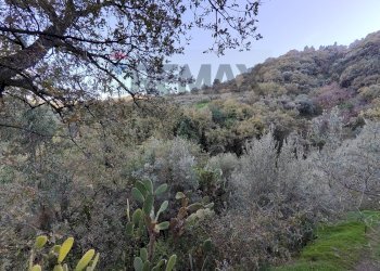 Vista delle montagne - Terreno agricolo Via femminamorta
 
snc, Barcellona Pozzo di Gotto - foto 3