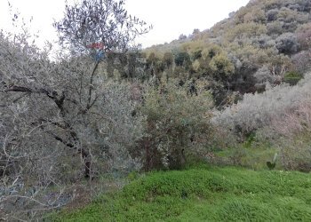 Vista delle montagne - Terreno agricolo Via femminamorta
 
snc, Barcellona Pozzo di Gotto - foto 5