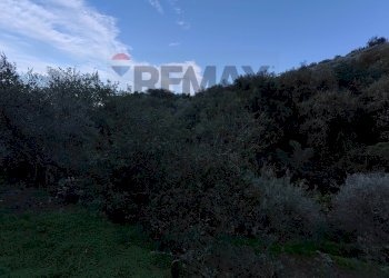 Vista delle montagne - Terreno agricolo Via femminamorta
 
snc, Barcellona Pozzo di Gotto - foto 7