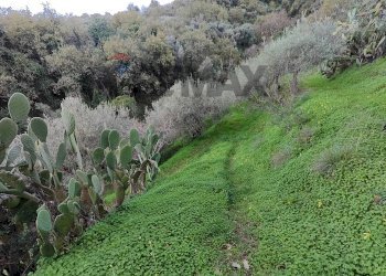 Giardino - Terreno agricolo Via femminamorta
 
snc, Barcellona Pozzo di Gotto - foto 8