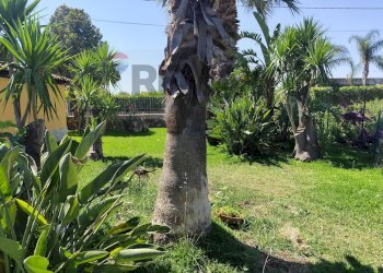 Giardino - Villa via montale
 
1, Melilli - foto 16