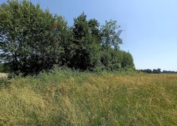 Giardino - Terreno agricolo Str. di Campagnola
15, Frossasco - foto 3